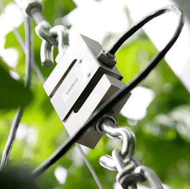 Weight Sensor